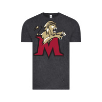 Vintage Black lions, molloy college Vintage Tee - linhVisuals