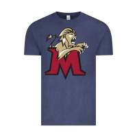 Lions, Molloy College Vintage Tee | Teevron