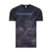 Roger Williams University Vintage Tee | Teevron