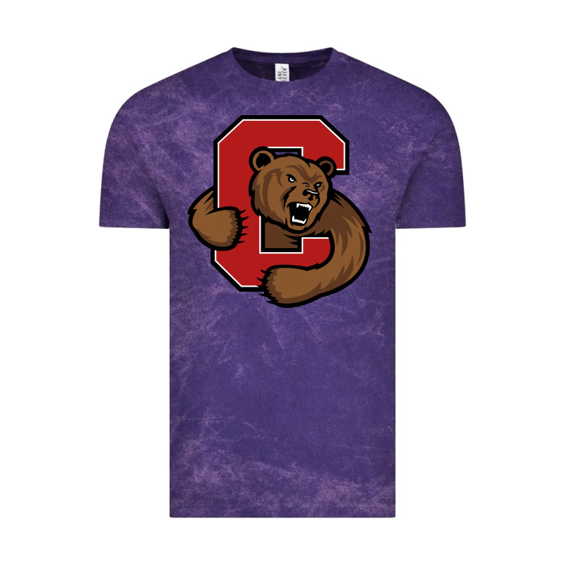 The Cornell Big Red Vintage Tee by linhVisuals | Teevron