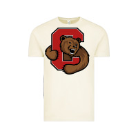 Vintage Arctic The cornell big red Vintage Tee - linhVisuals