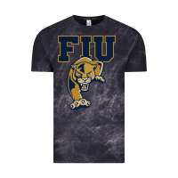 Cloud Black The fiu panthers Vintage Tee - linhVisuals
