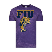 Cloud Purple The fiu panthers Vintage Tee - linhVisuals