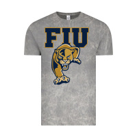 Cloud Rock The fiu panthers Vintage Tee - linhVisuals