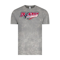 Cloud Rock Talladega Superspeedway Vintage Tee - linhVisuals