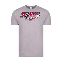 Vintage Zinc Talladega Superspeedway Vintage Tee - linhVisuals
