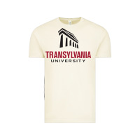 Vintage Arctic transylvania university Vintage Tee - linhVisuals