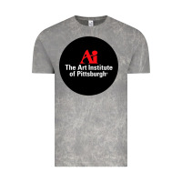 Art Institute Of Pittsburgh Vintage Tee | Teevron