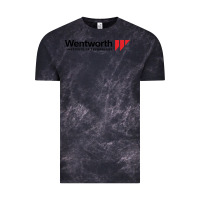 Cloud Black wentworth institute of technology Vintage Tee - linhVisuals