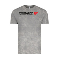 Cloud Rock wentworth institute of technology Vintage Tee - linhVisuals