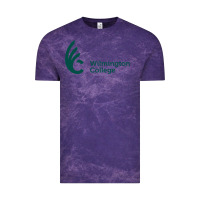 Cloud Purple wilmington college Vintage Tee - linhVisuals