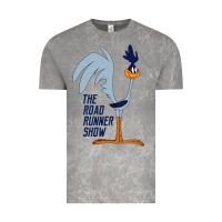 Cloud Rock The Road Runner Show Vintage Tee - linhVisuals