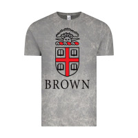 Cloud Rock brown university Vintage Tee - linhVisuals