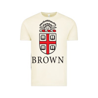 Vintage Arctic brown university Vintage Tee - linhVisuals