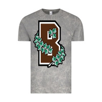 Brown University Vintage Tee | Teevron