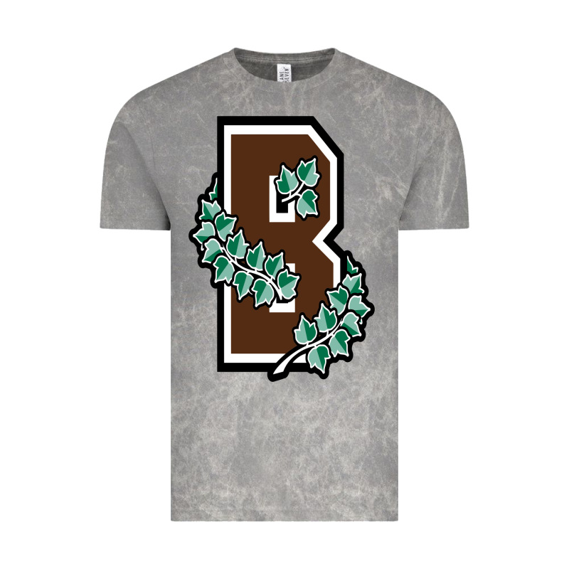 Brown University Vintage Tee by linhVisuals | Teevron