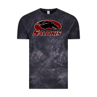 Cloud Black salukis Vintage Tee - linhVisuals