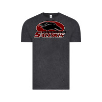 Vintage Black salukis Vintage Tee - linhVisuals