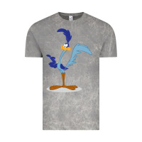 Cloud Rock Road Runner Beep Vintage Tee - linhVisuals