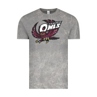 Cloud Rock temple owls Vintage Tee - linhVisuals