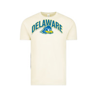 Vintage Arctic delaware sportss Vintage Tee - linhVisuals