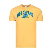 Delaware Sportss Vintage Tee | Teevron