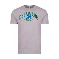 Vintage Zinc delaware sportss Vintage Tee - linhVisuals