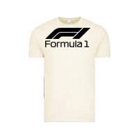 Vintage Arctic formula 1 Vintage Tee - linhVisuals