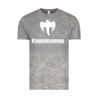 Cloud Rock ghost koenisegg Vintage Tee - linhVisuals
