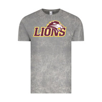 Cloud Rock freed–hardeman university lion Vintage Tee - linhVisuals