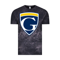 Cloud Black graceland university yellowjackets vectorized Vintage Tee - linhVisuals
