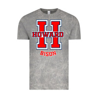 Cloud Rock howard 1867 university Vintage Tee - linhVisuals