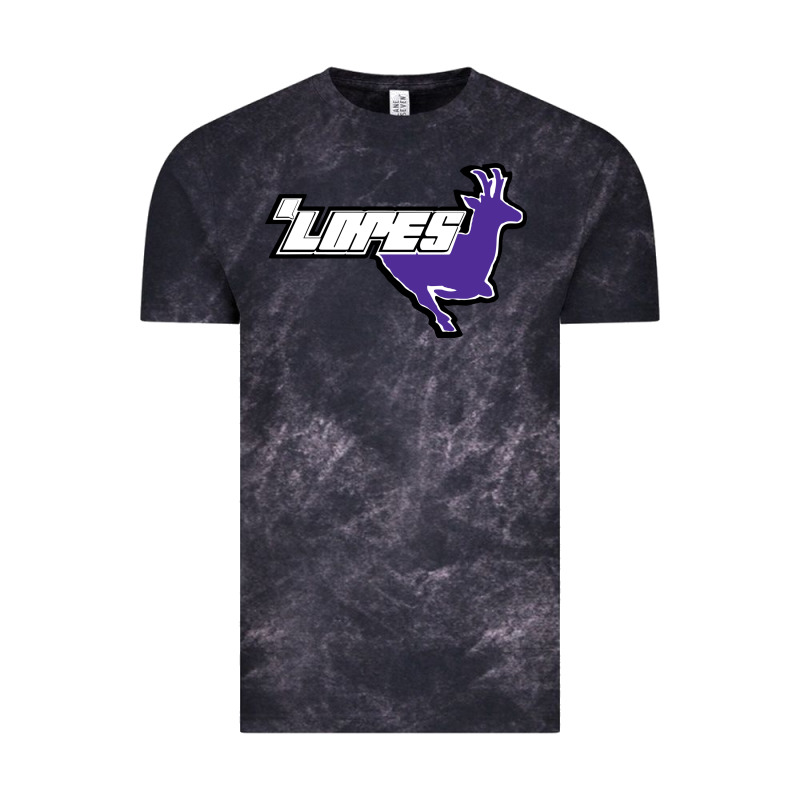 Grand Canyon University Antelopes Vintage Tee by linhVisuals | Teevron