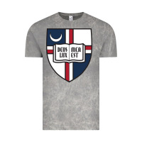 Cloud Rock university catholic Vintage Tee - linhVisuals