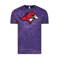 Cloud Purple benedictine, mesa, college Vintage Tee - linhVisuals