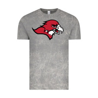 Cloud Rock benedictine, mesa, college Vintage Tee - linhVisuals