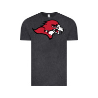 Vintage Black benedictine, mesa, college Vintage Tee - linhVisuals