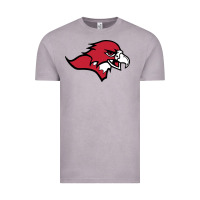 Benedictine, Mesa, College Vintage Tee | Teevron