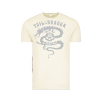 Vintage Arctic tail of the dragon Vintage Tee - linhVisuals