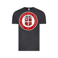 Vintage Black Texas Tech University Vintage Tee - linhVisuals