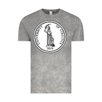 Cloud Rock University of Virginia Vintage Tee - linhVisuals
