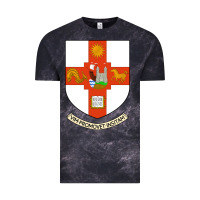 Cloud Black university bristol Vintage Tee - linhVisuals