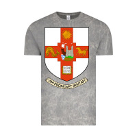 Cloud Rock university bristol Vintage Tee - linhVisuals