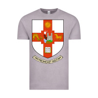 Vintage Zinc university bristol Vintage Tee - linhVisuals