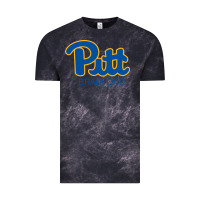 Pitt Bradford, University Of Pittsburgh At Bradford, Vintage Tee | Teevron