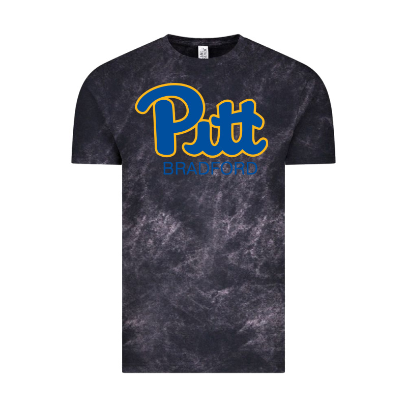 Pitt Bradford, University Of Pittsburgh At Bradford, Vintage Tee by linhVisuals | Teevron