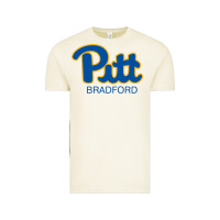 Vintage Arctic pitt bradford, University of Pittsburgh at Bradford, Vintage Tee - linhVisuals