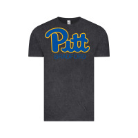 Vintage Black pitt bradford, University of Pittsburgh at Bradford, Vintage Tee - linhVisuals