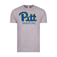 Vintage Zinc pitt bradford, University of Pittsburgh at Bradford, Vintage Tee - linhVisuals