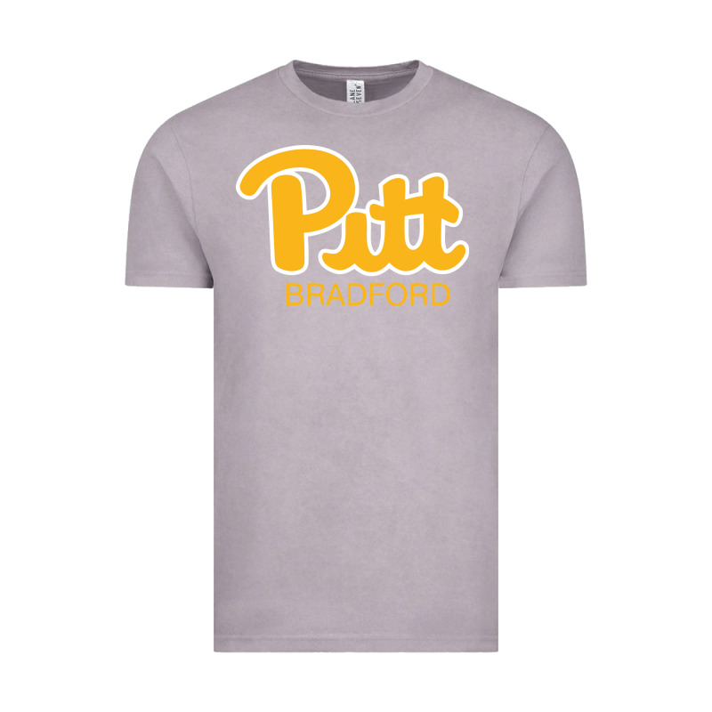 Pitt Bradford, University Of Pittsburgh At Bradford, Vintage Tee by linhVisuals | Teevron